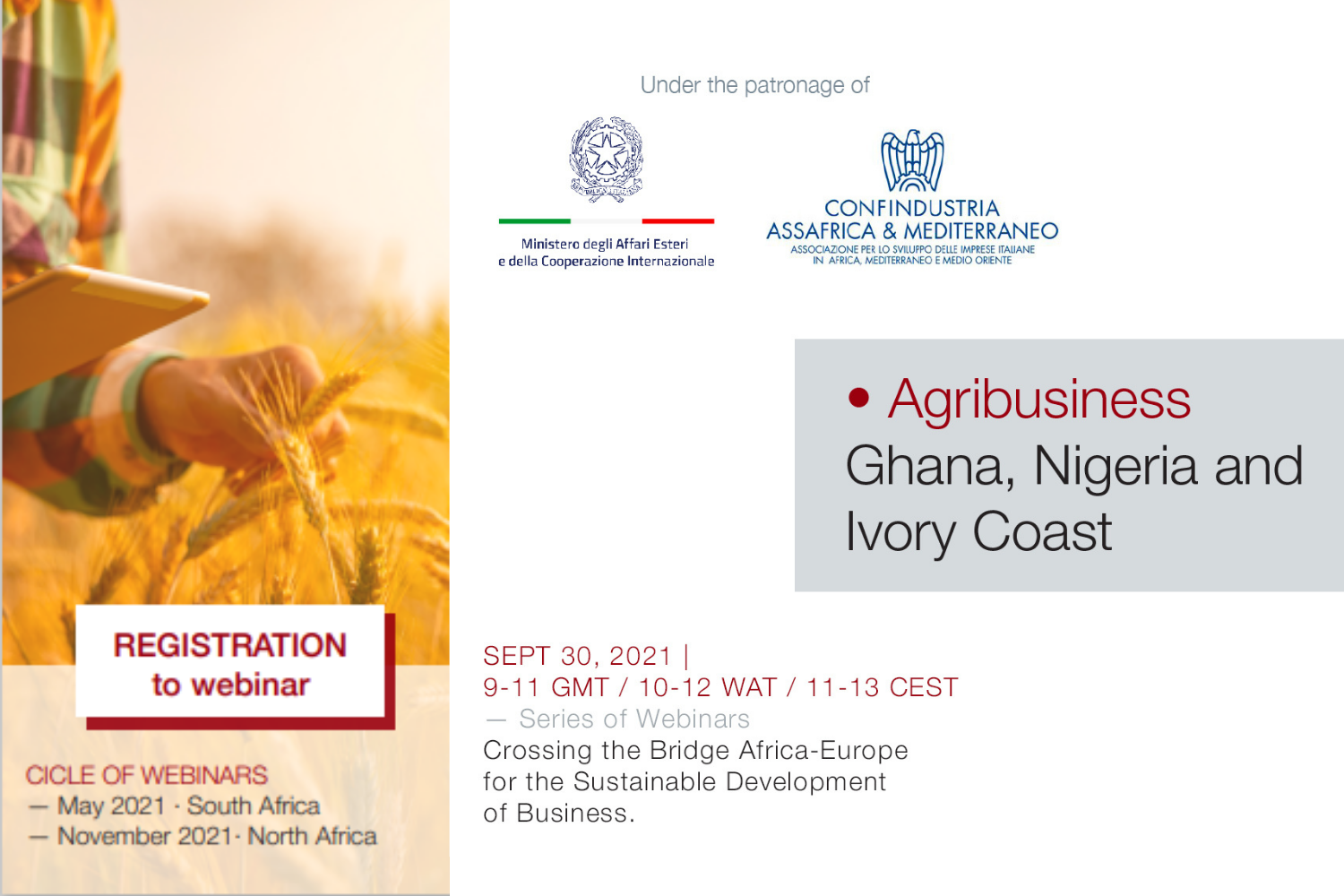 Webinar: Crossing the bridge Africa – Europe