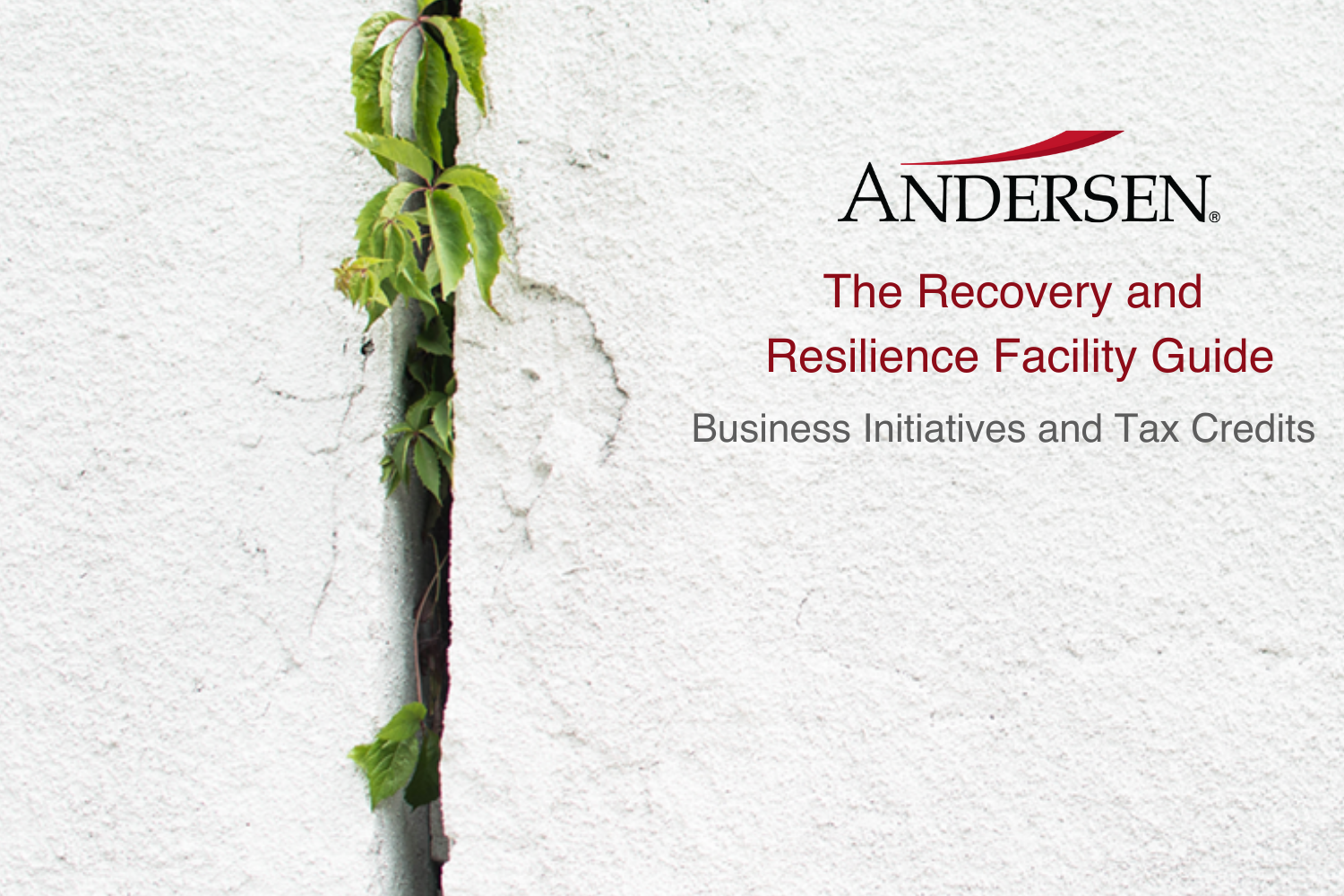 The Resilience and Recovery Guide